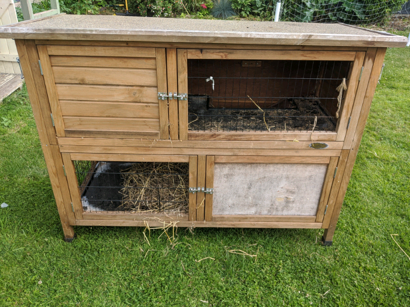 gumtree guinea pig hutch